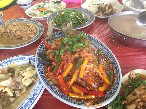 青菜園_4.jpg 青菜園_4.jpg