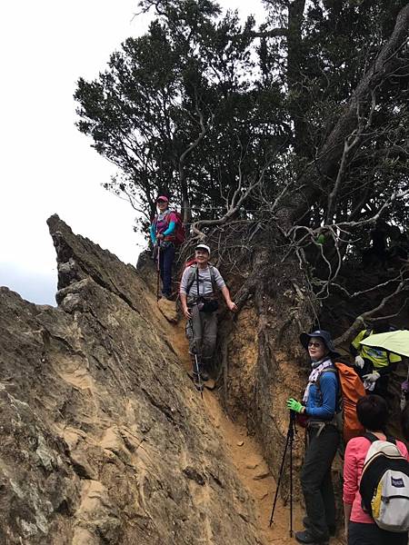 20191102 北得拉曼山神木、內鳥嘴山山毛櫸_191103_0066.jpg