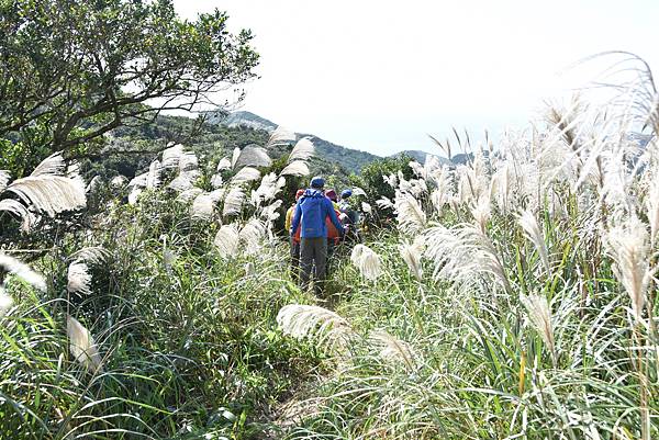 雪山尾稜北段 - 茫海山稜藍色太平洋