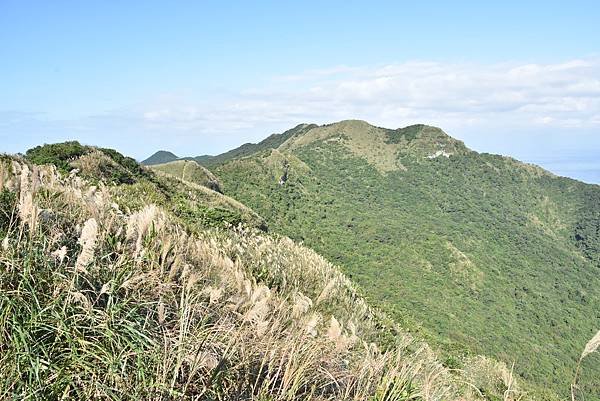 雪山尾稜北段 - 茫海山稜藍色太平洋