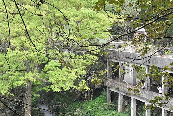 浪漫台3線樟之細路: 首訪獅山古道 - 夜抵南庄老街