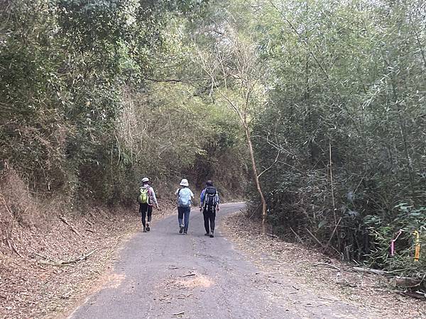 浪漫台3線樟之細路: 首訪獅山古道 - 夜抵南庄老街