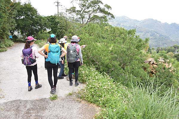 完走出關古道 - 勇登關刀山