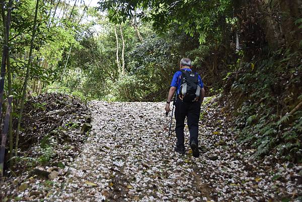 完走出關古道 - 勇登關刀山