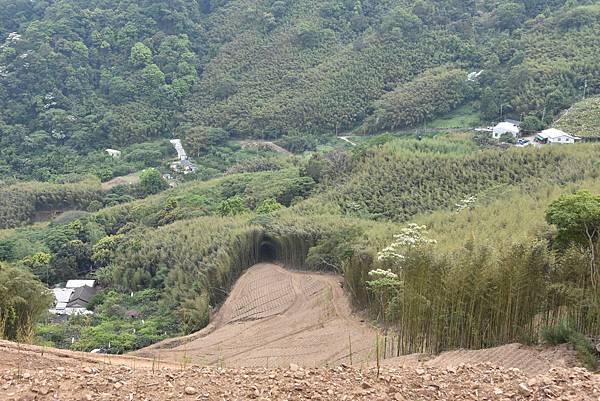 完走出關古道 - 勇登關刀山