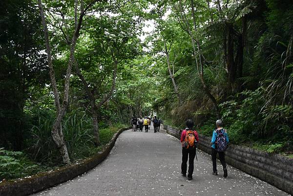 完走出關古道 - 勇登關刀山