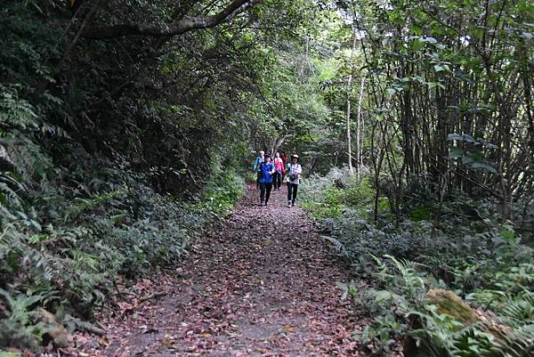 完走出關古道 - 勇登關刀山