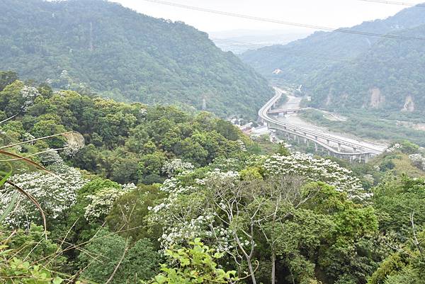 完走出關古道 - 勇登關刀山