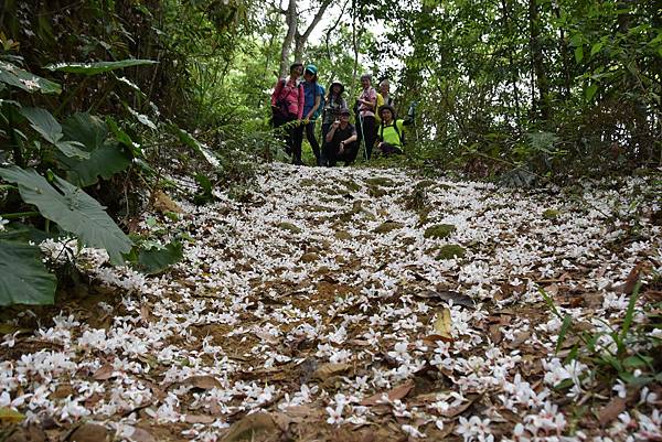 金童山玉女山汶水山 - 跟著風追白雪