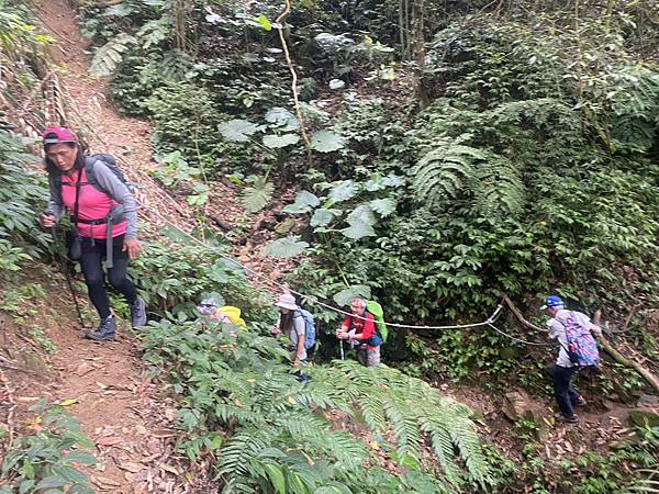 金童山玉女山汶水山 - 跟著風追白雪