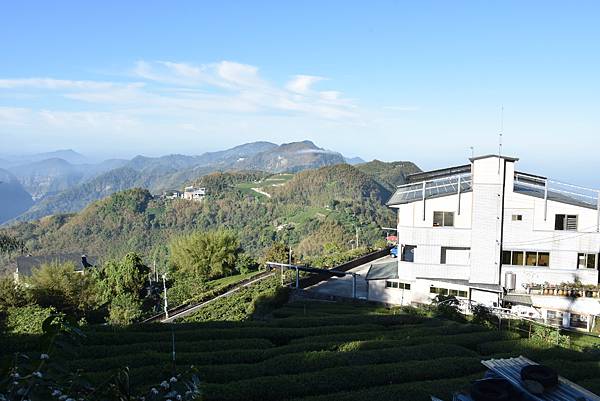 五月阿里山鐵路 - 初夏螢火蟲之旅: 迷糊步道竹林行 - 藍