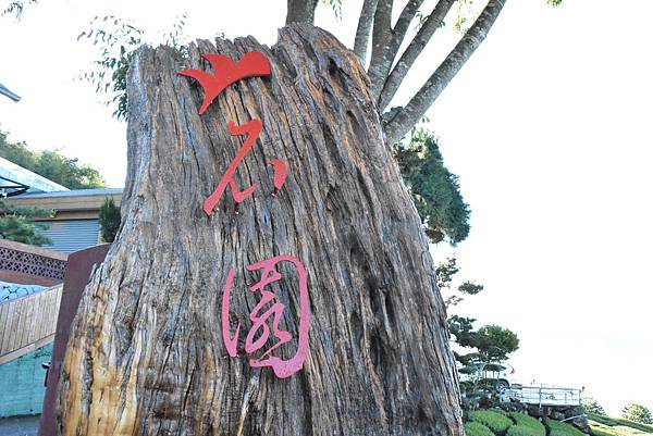 五月阿里山鐵路 - 初夏螢火蟲之旅: 迷糊步道竹林行 - 藍