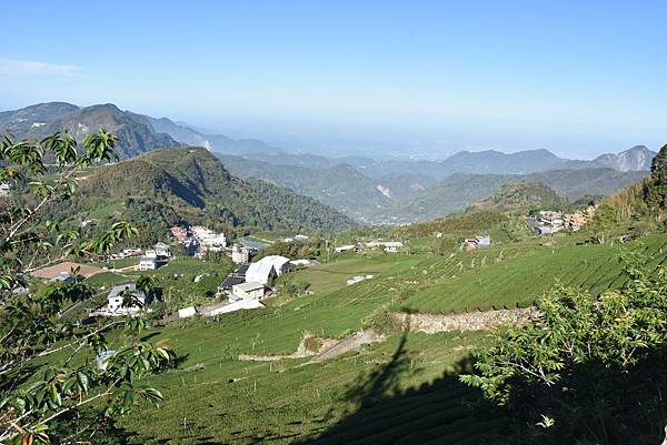 五月阿里山鐵路 - 初夏螢火蟲之旅: 迷糊步道竹林行 - 藍