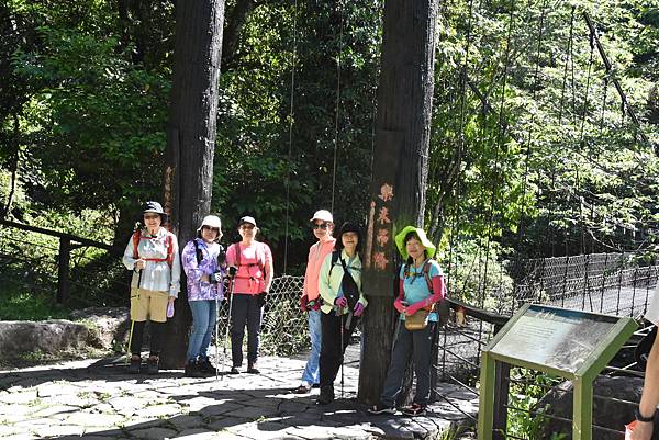 五月阿里山鐵路 - 初夏螢火蟲之旅: 迷糊步道竹林行 - 藍