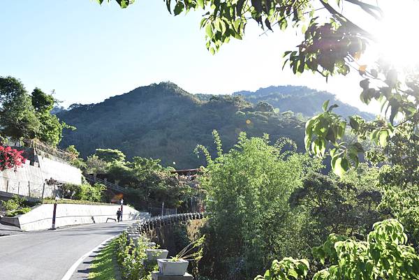 五月阿里山鐵路 - 初夏螢火蟲之旅: 勇闖巨石板 - 漫走二