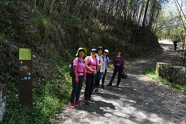 五月阿里山鐵路 - 初夏螢火蟲之旅: 勇闖巨石板 - 漫走二