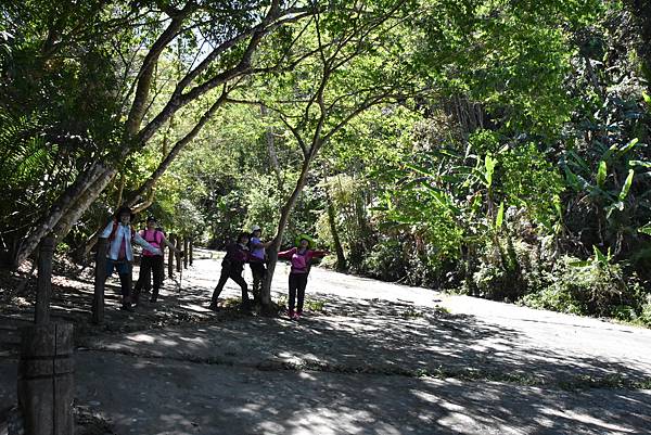 五月阿里山鐵路 - 初夏螢火蟲之旅: 勇闖巨石板 - 漫走二