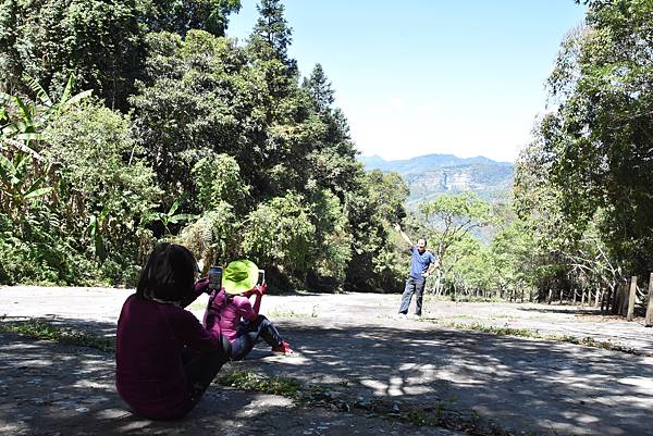 五月阿里山鐵路 - 初夏螢火蟲之旅: 勇闖巨石板 - 漫走二