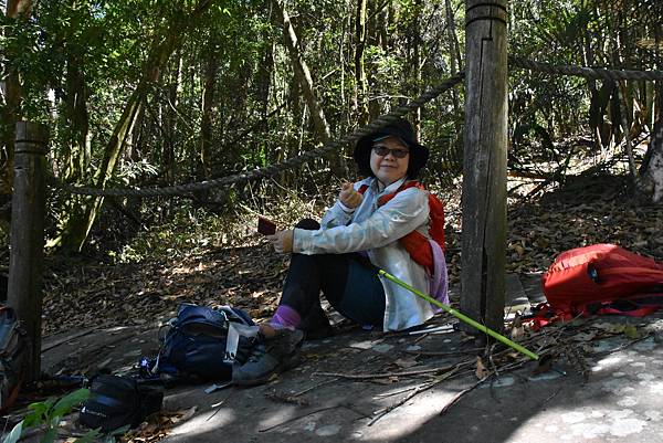 五月阿里山鐵路 - 初夏螢火蟲之旅: 勇闖巨石板 - 漫走二