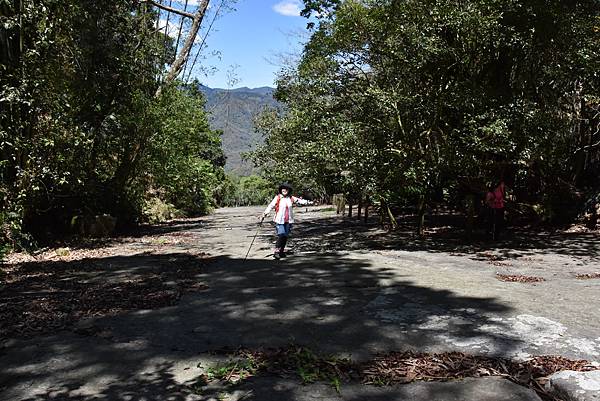 五月阿里山鐵路 - 初夏螢火蟲之旅: 勇闖巨石板 - 漫走二