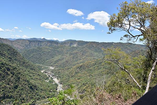 五月阿里山鐵路 - 初夏螢火蟲之旅: 勇闖巨石板 - 漫走二