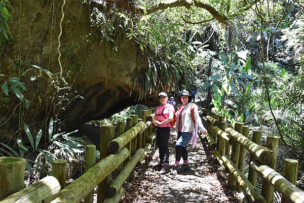 五月阿里山鐵路 - 初夏螢火蟲之旅: 勇闖巨石板 - 漫走二