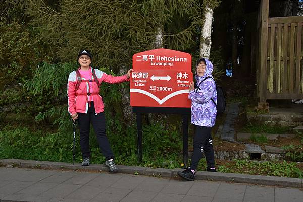 五月阿里山鐵路 - 初夏螢火蟲之旅: 勇闖巨石板 - 漫走二