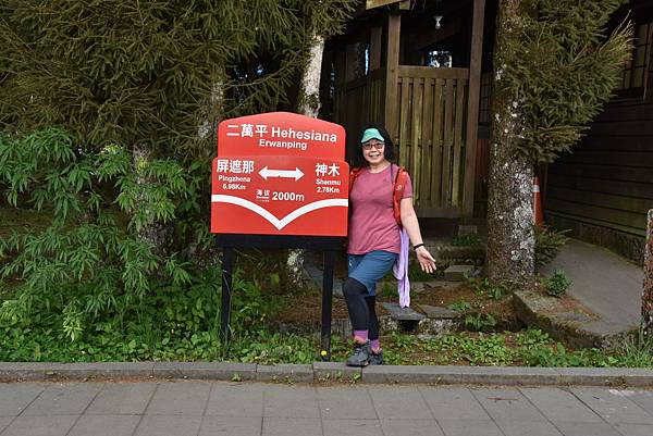 五月阿里山鐵路 - 初夏螢火蟲之旅: 勇闖巨石板 - 漫走二