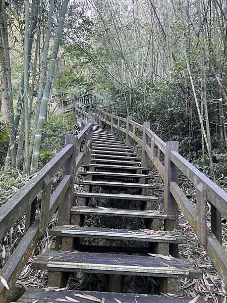 五月阿里山鐵路 - 初夏螢火蟲之旅: 迷糊步道竹林行 - 藍