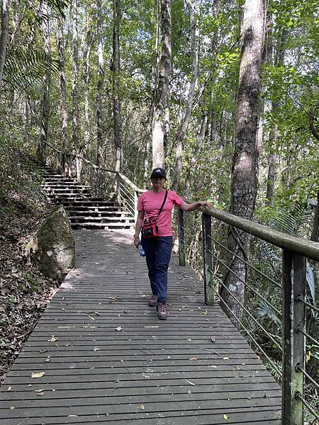 五月阿里山鐵路 - 初夏螢火蟲之旅: 迷糊步道竹林行 - 藍