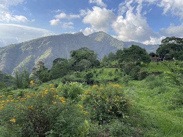 五月阿里山鐵路 - 初夏螢火蟲之旅: 迷糊步道竹林行 - 藍