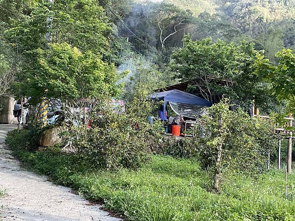 五月阿里山鐵路 - 初夏螢火蟲之旅: 迷糊步道竹林行 - 藍