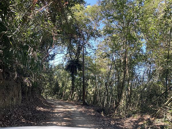 五月阿里山鐵路 - 初夏螢火蟲之旅: 勇闖巨石板 - 漫走二