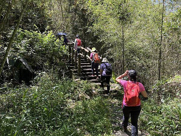 五月阿里山鐵路 - 初夏螢火蟲之旅: 勇闖巨石板 - 漫走二