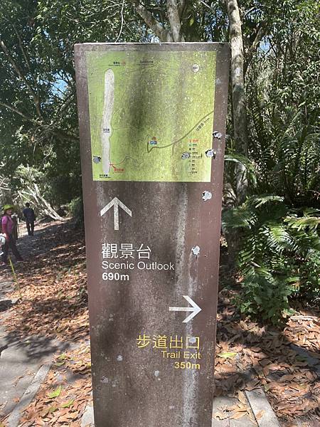 五月阿里山鐵路 - 初夏螢火蟲之旅: 勇闖巨石板 - 漫走二