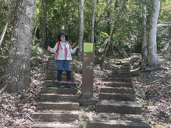 五月阿里山鐵路 - 初夏螢火蟲之旅: 勇闖巨石板 - 漫走二