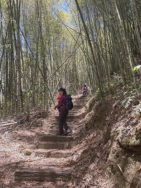 五月阿里山鐵路 - 初夏螢火蟲之旅: 勇闖巨石板 - 漫走二