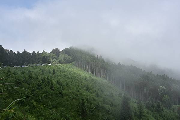 新竹油羅山霞山 - 夏日雲霧輕爽走