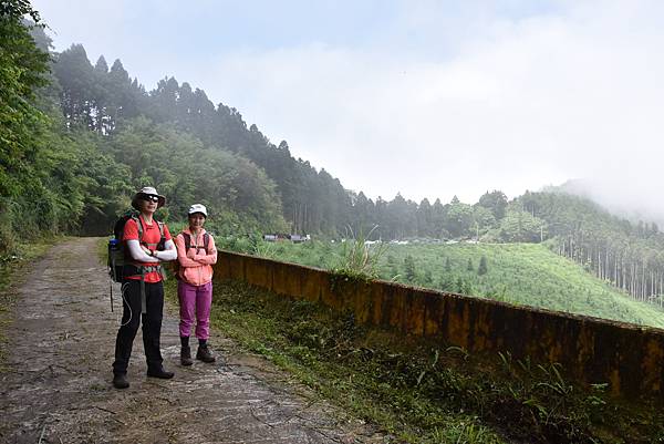 新竹油羅山霞山 - 夏日雲霧輕爽走