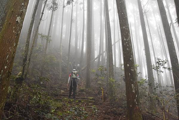 新竹油羅山霞山 - 夏日雲霧輕爽走