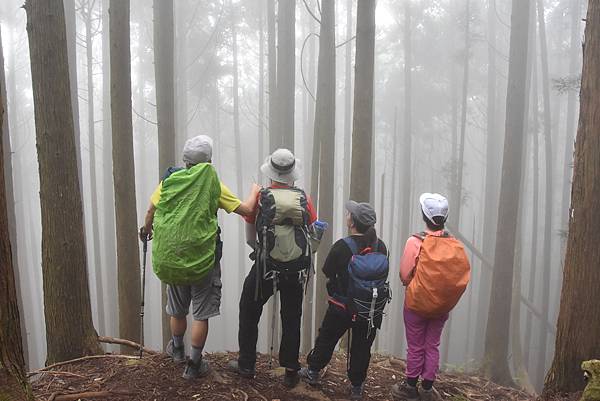 新竹油羅山霞山 - 夏日雲霧輕爽走