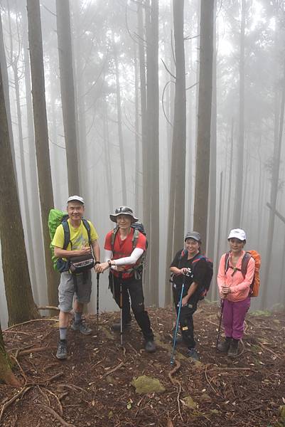 新竹油羅山霞山 - 夏日雲霧輕爽走