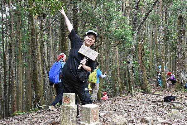 新竹油羅山霞山 - 夏日雲霧輕爽走