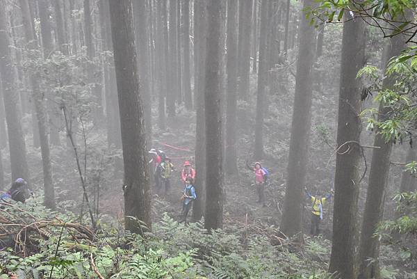 新竹油羅山霞山 - 夏日雲霧輕爽走