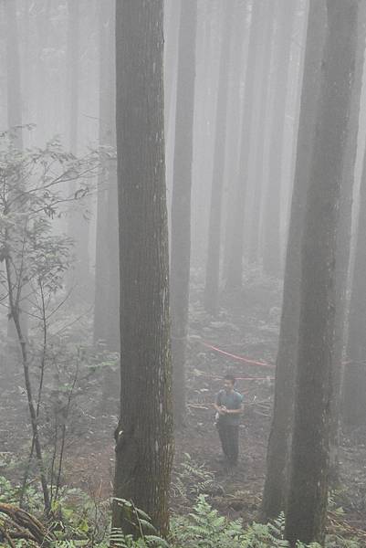 新竹油羅山霞山 - 夏日雲霧輕爽走