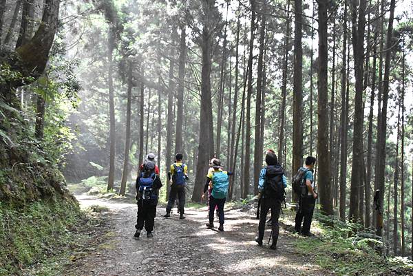 新竹油羅山霞山 - 夏日雲霧輕爽走