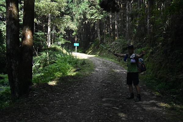 新竹油羅山霞山 - 夏日雲霧輕爽走