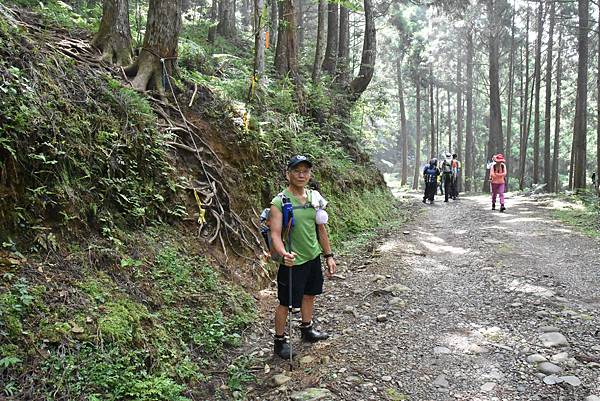 新竹油羅山霞山 - 夏日雲霧輕爽走