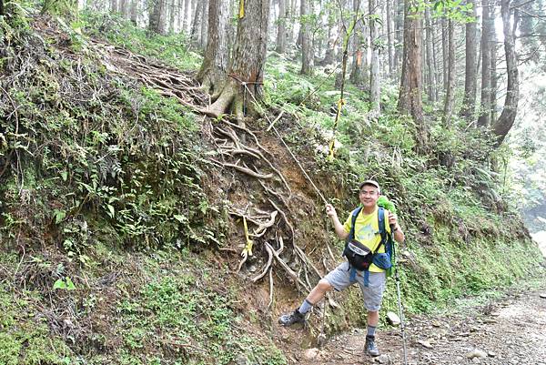 新竹油羅山霞山 - 夏日雲霧輕爽走