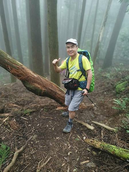 新竹油羅山霞山 - 夏日雲霧輕爽走